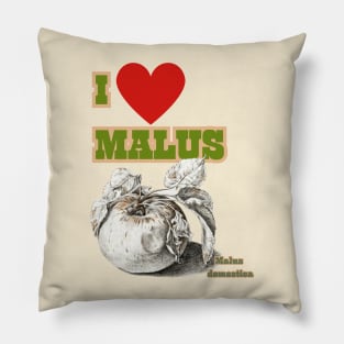 I HEART Malus. Cider and Apple Fan Chant! Pillow