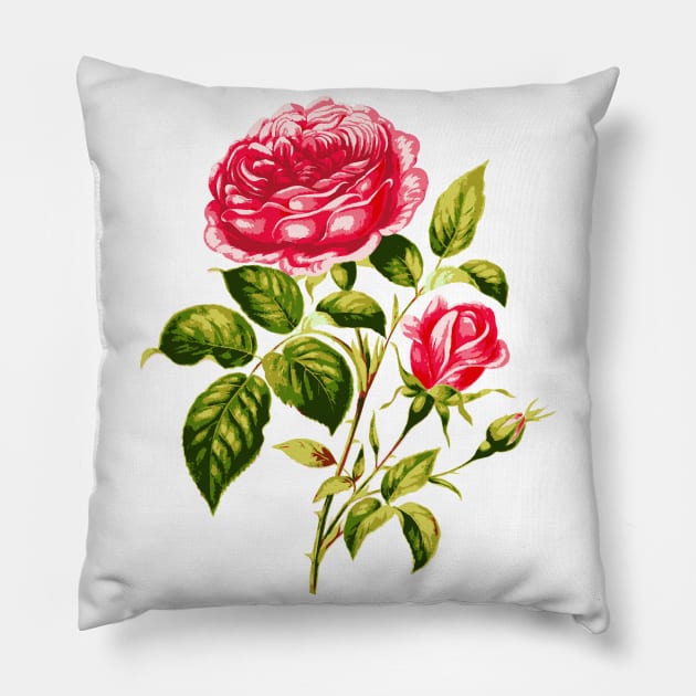 Vintage Pink Roses with Branches and Rose Buds Pillow by LizzyizzyDesign