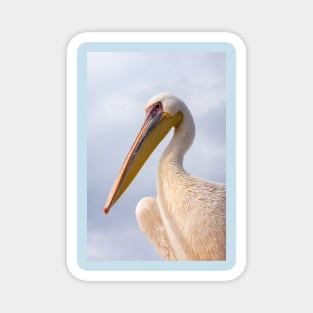 Pelican. Magnet