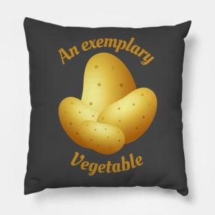 An Exemplary Vegetable Pillow