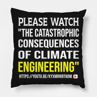 PLEASE WATCH ONLINE VIDEO CALLED -THE CATASTROPHIC CONSEQUENCES OF CLIMATE ENGINEERING Pillow