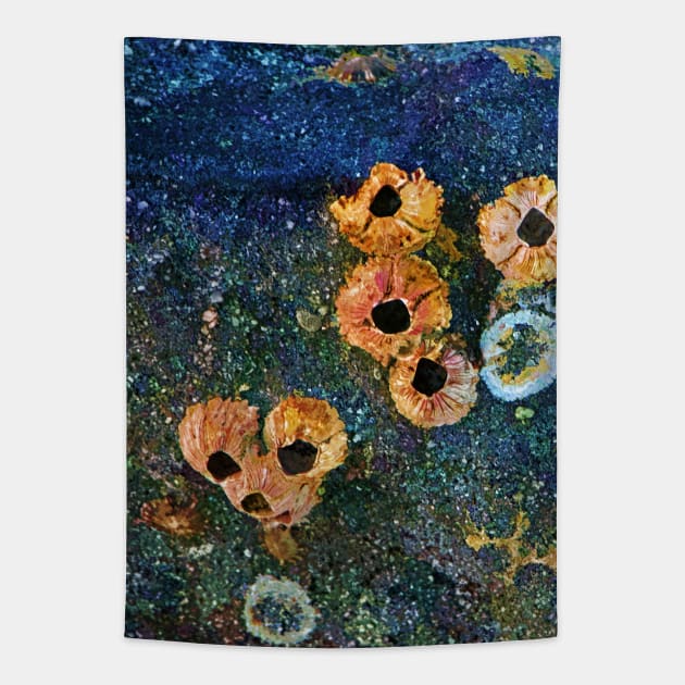 Abstract barnacles on rocks Tapestry by hereswendy