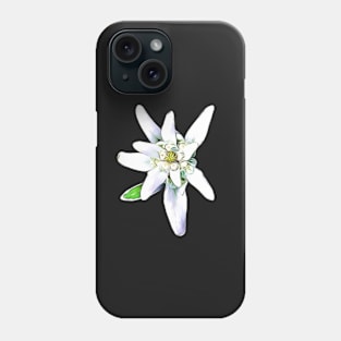 Edelweiss Alpine Flower Artistic Pattern Phone Case