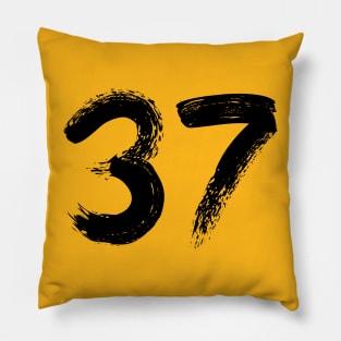 Number 37 Pillow