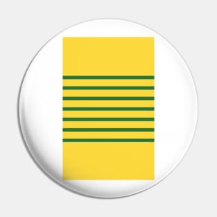 Glasgow Celtic 2013/2014 Retro Yellow Green Hoops Pin