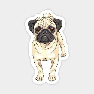 Fawn pug Dog Magnet