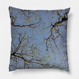 Trees leaves and sky Pillow