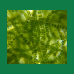 Green Microscopic Seaweed T-Shirt