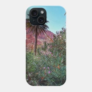 Oasis AIT MANSSOUR in TAFRAOUT City Phone Case