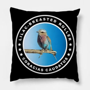 Colorful Lilac-breasted Roller (Coracias Caudatus) Bird Pillow