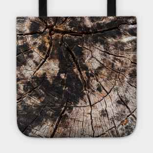 Chopped Tree Trunk Inner Rings Tote