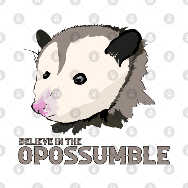 Believe in the Impossible Motivational Possum by Punderstandable