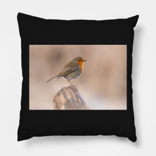 Robin perch Pillow