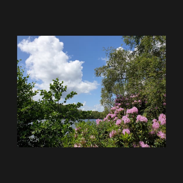 Obelisk pond view and blue sky by fantastic-designs