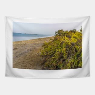 BEACH SHRUBS Tapestry