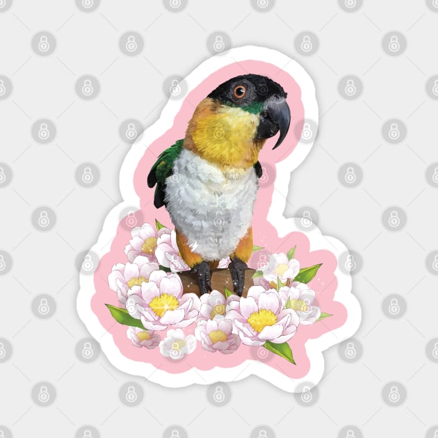 caique Magnet by obscurite