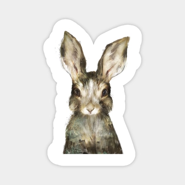 Little Rabbit Magnet by Amy Hamilton