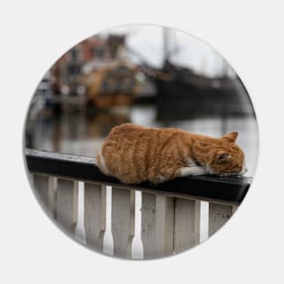 Cat on a Rail Pin