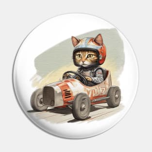 cat in a racing go kart Pin