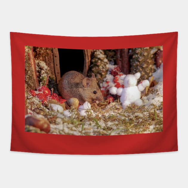 Winter mouse in a christmas house Tapestry by Simon-dell