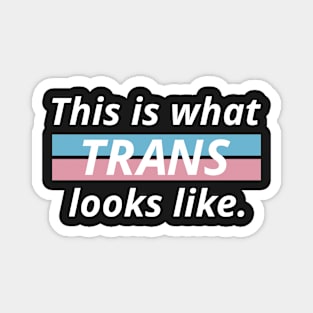 This Is What Trans Looks Like Magnet