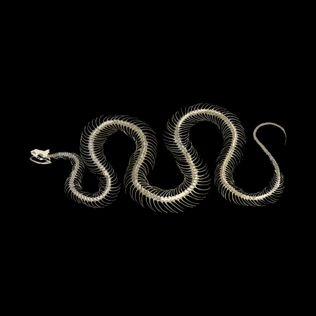 Snake Skeleton by UsuallyUnusual