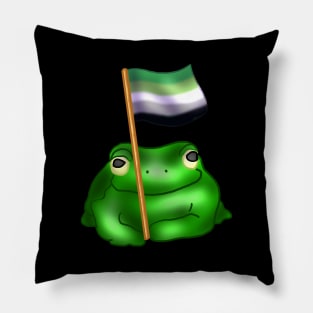 Aromantic LGBTQ Frog Pillow