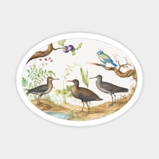 Blue Tit with Three Wading Birds and a Fig Tree (1575-1580) Magnet