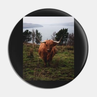 Moody Photograph of Highlands cattle with fjord in the back Pin