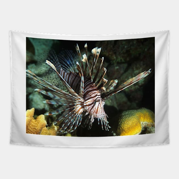 Caribbean Lion Fish Tapestry by Scubagirlamy