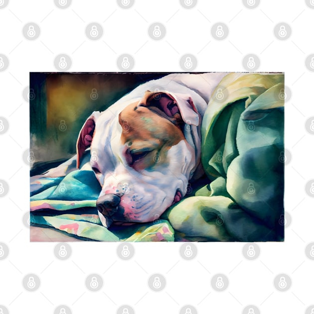 A Sleeping Pit Bull Terrier by designs4days