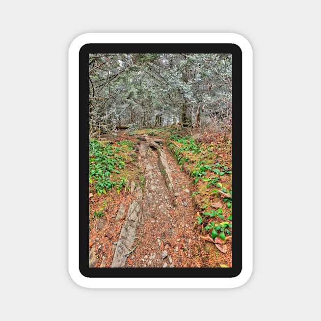 Frosted Appalachian Trail Magnet by somadjinn