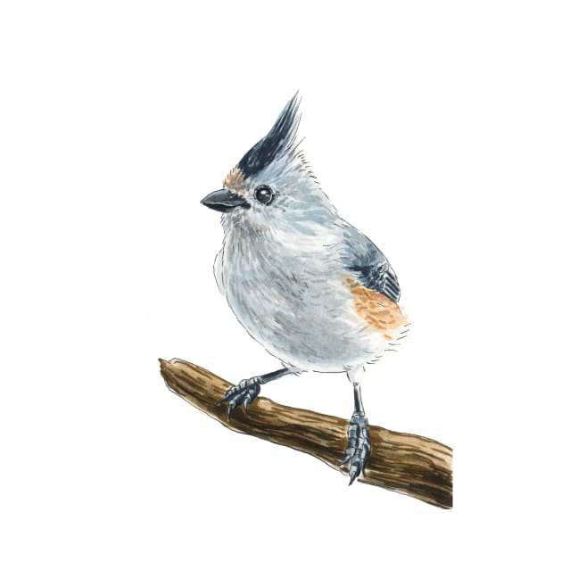 Titmouse bird watercolor by katerinamk