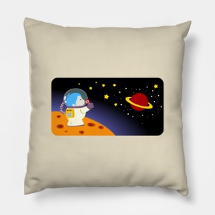 Astro Pillow