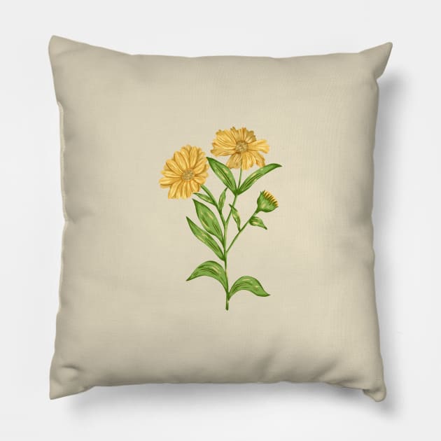 Calendula Plant Botancial Pillow by Salfiart