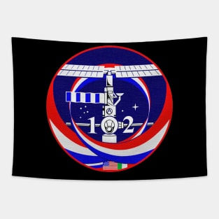 Black Panther Art - NASA Space Badge 57 Tapestry