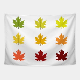 Colorful autumn leaves Tapestry