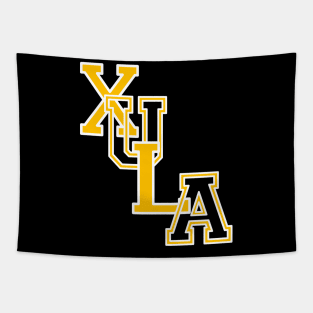 Xavier 1925 University Apparel Tapestry