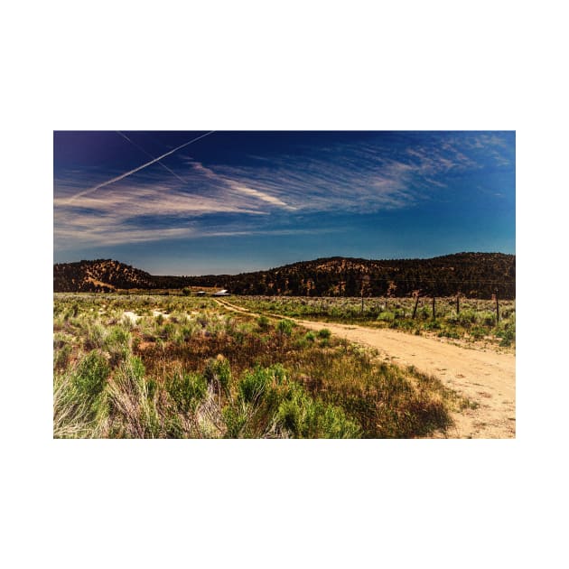 Utah Route State 12 Scenic Drive by Gestalt Imagery