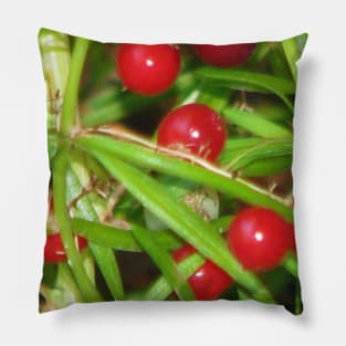 We're not rotten tomatoes Pillow