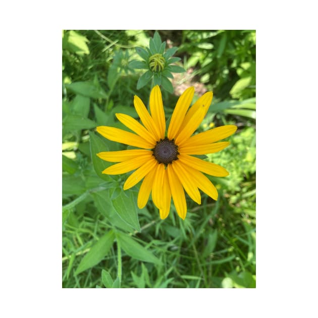 Bright Yellow Daisy by Amanda1775