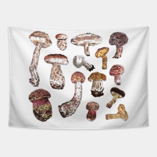 Mushrooms Tapestry