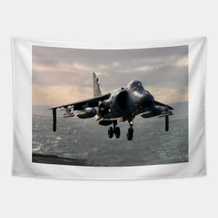 Sea Harrier Hovering Tapestry