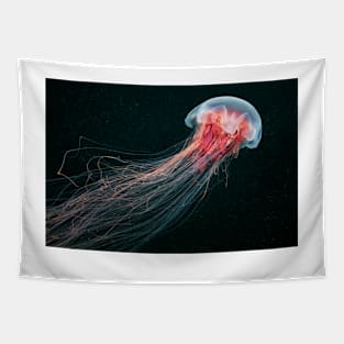 Lion's mane jellyfish (C010/4633) Tapestry