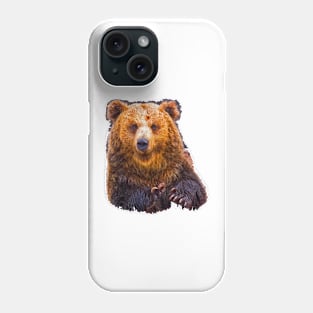 bear - hulk Phone Case