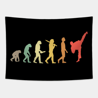 Retro Karate Evolution Gift For Karateka Tapestry