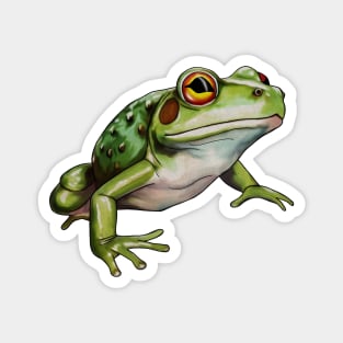 Green Frog, Tropical Animal, Love Frogs Magnet