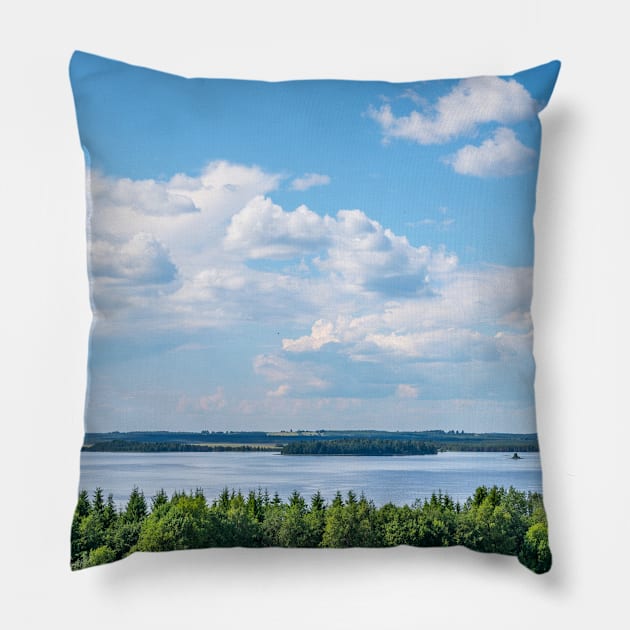 Lake on a Sunny Summer Day Pillow by iluphoto