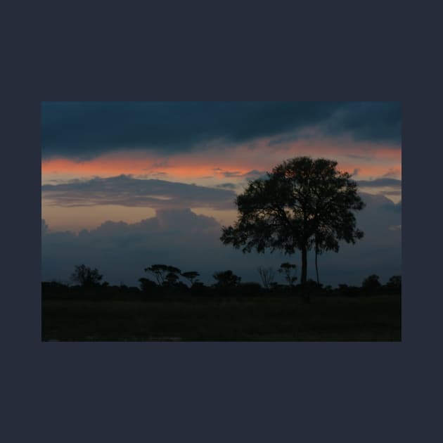 African Tree and Dramatic Night Sky by KarenZukArt