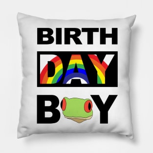 Birth Day Boy Pillow